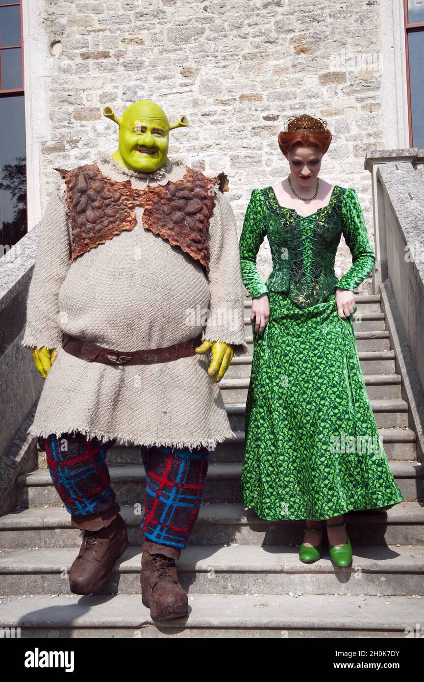 Shrek Fiona Castle