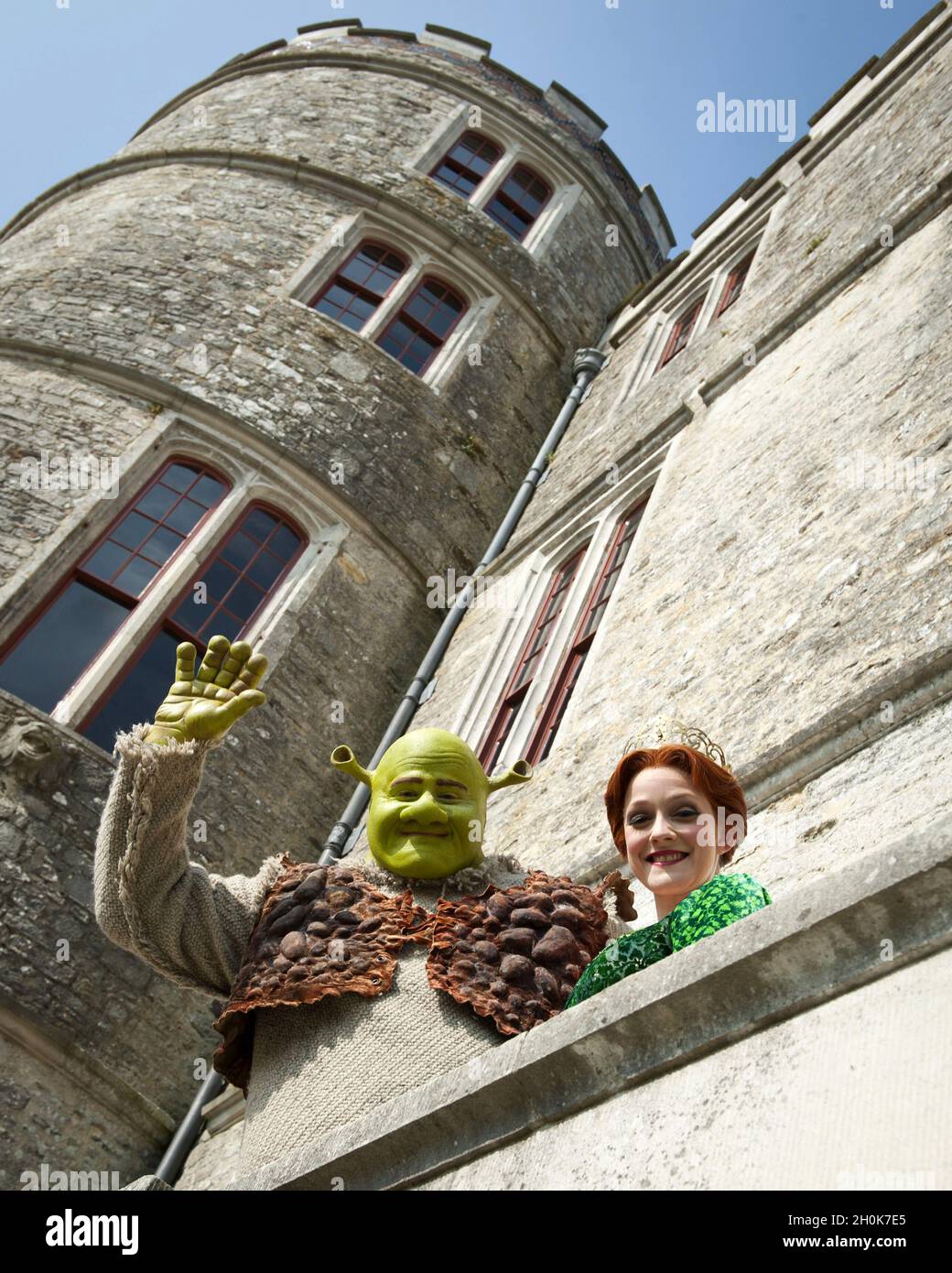 Shrek Fiona Castle