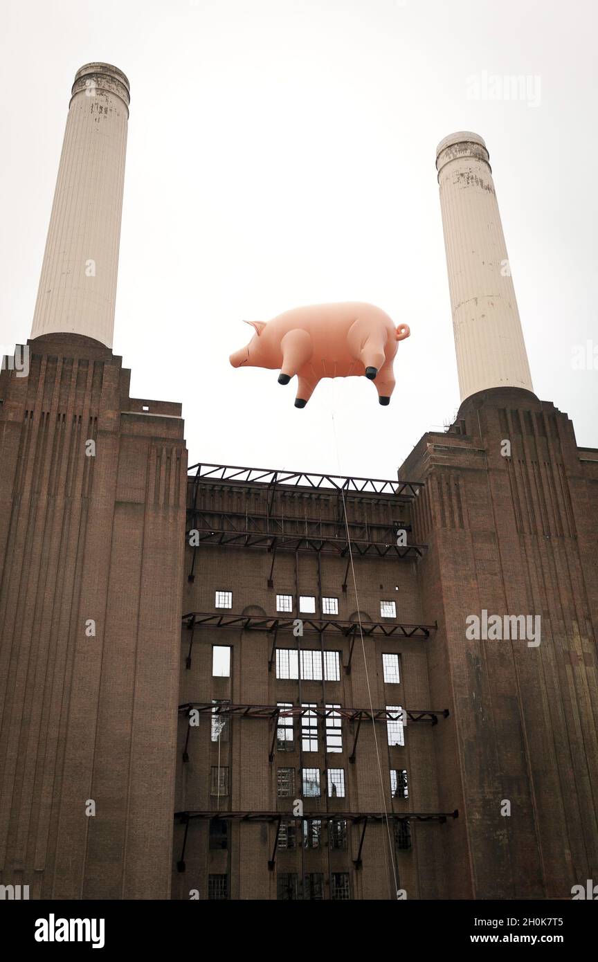 A giant inflatable pig flies above Battersea Power Station on the banks of  the river Thames in central London, during a recreation of the cover of the  Pink Floyd album 'Animals' -