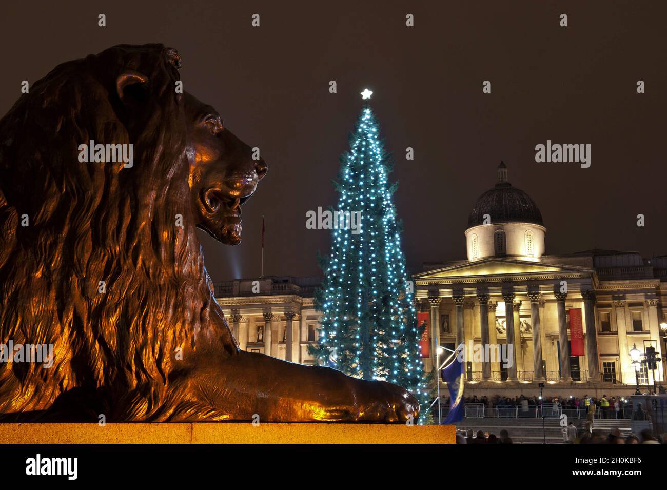 A general view of the Christmas Tree having its lights switched on in