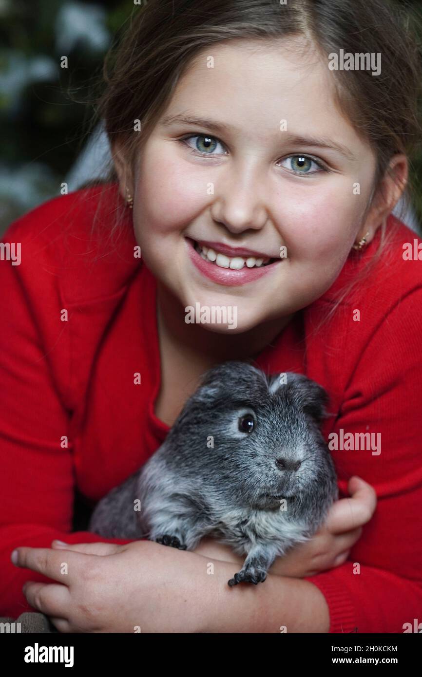 Smiling little Girl looks at camera, petting her guinea pig. Stock Photo