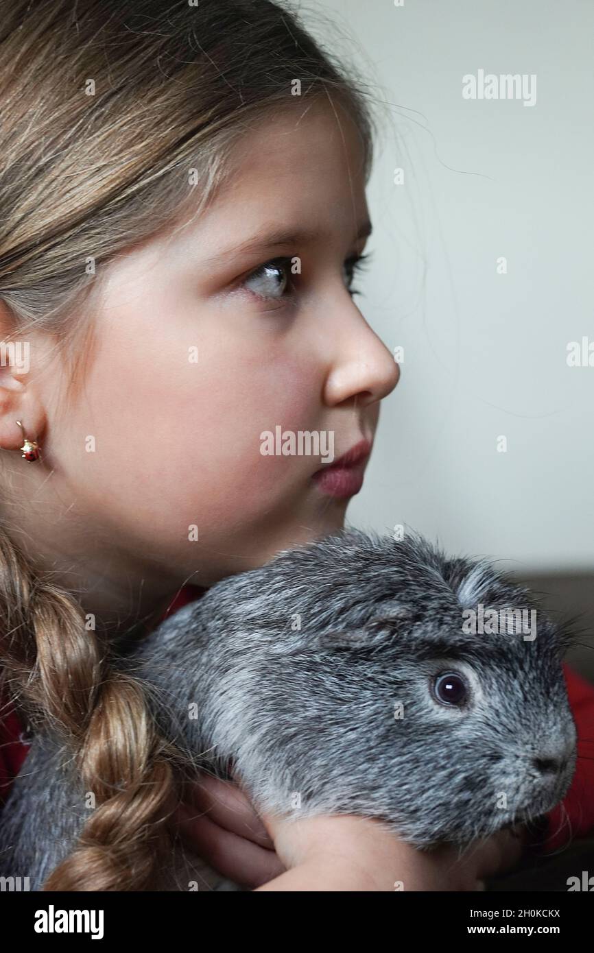 Smiling little Girl looks at camera, petting her guinea pig. Stock Photo