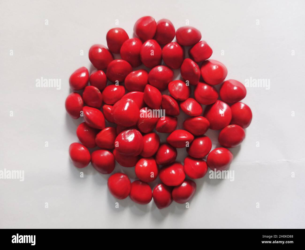 Saga Seed Acacia beans red in colour background Stock Photo