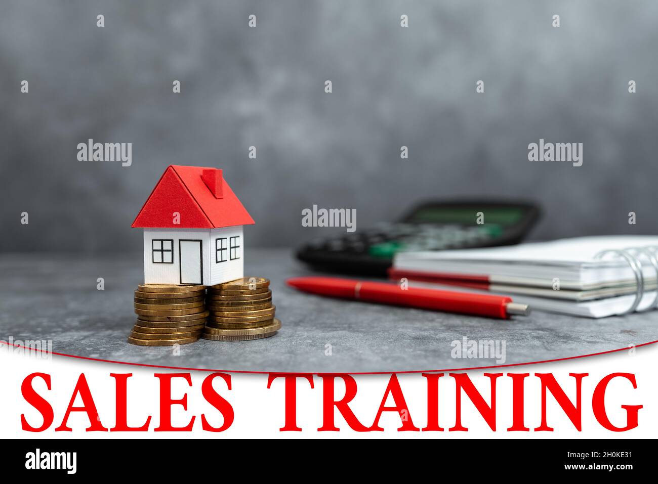 Conceptual caption Sales Training. Business overview Action Selling Market Overview Personal Development Computing House Upgrade Budget, New Household Stock Photo