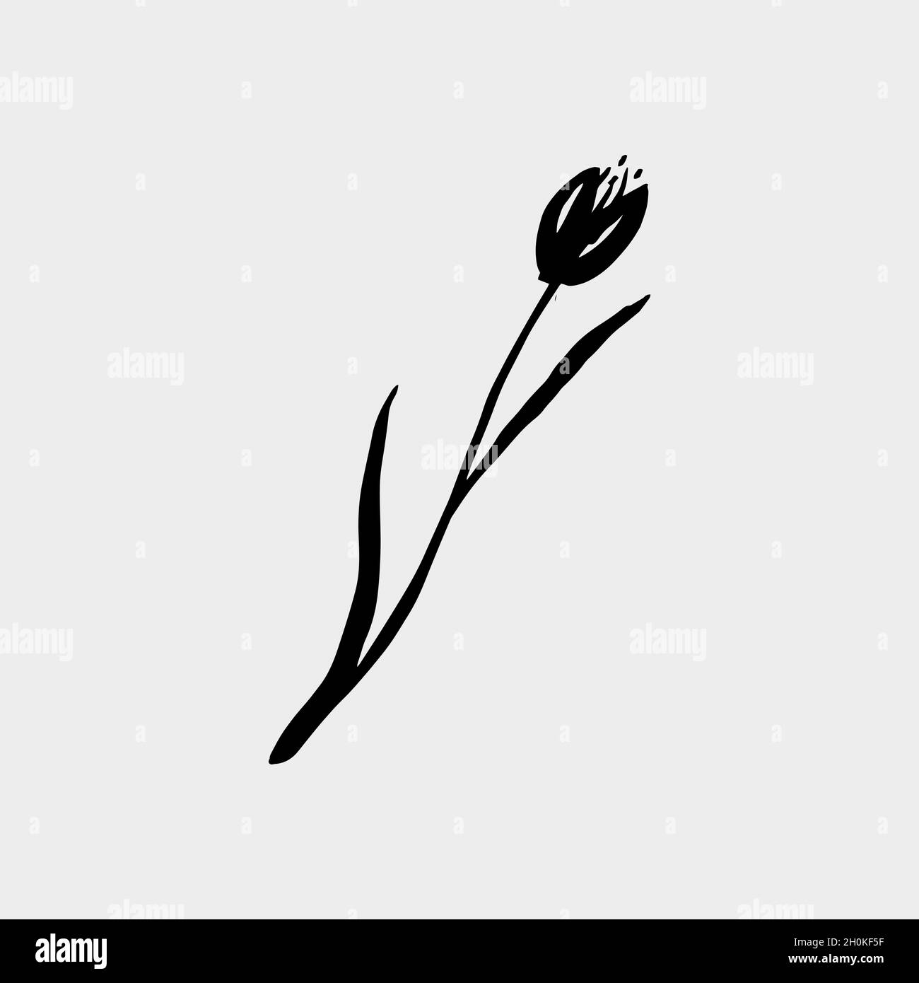 vector hand drawn tulip black ink color Stock Vector Image & Art Alamy