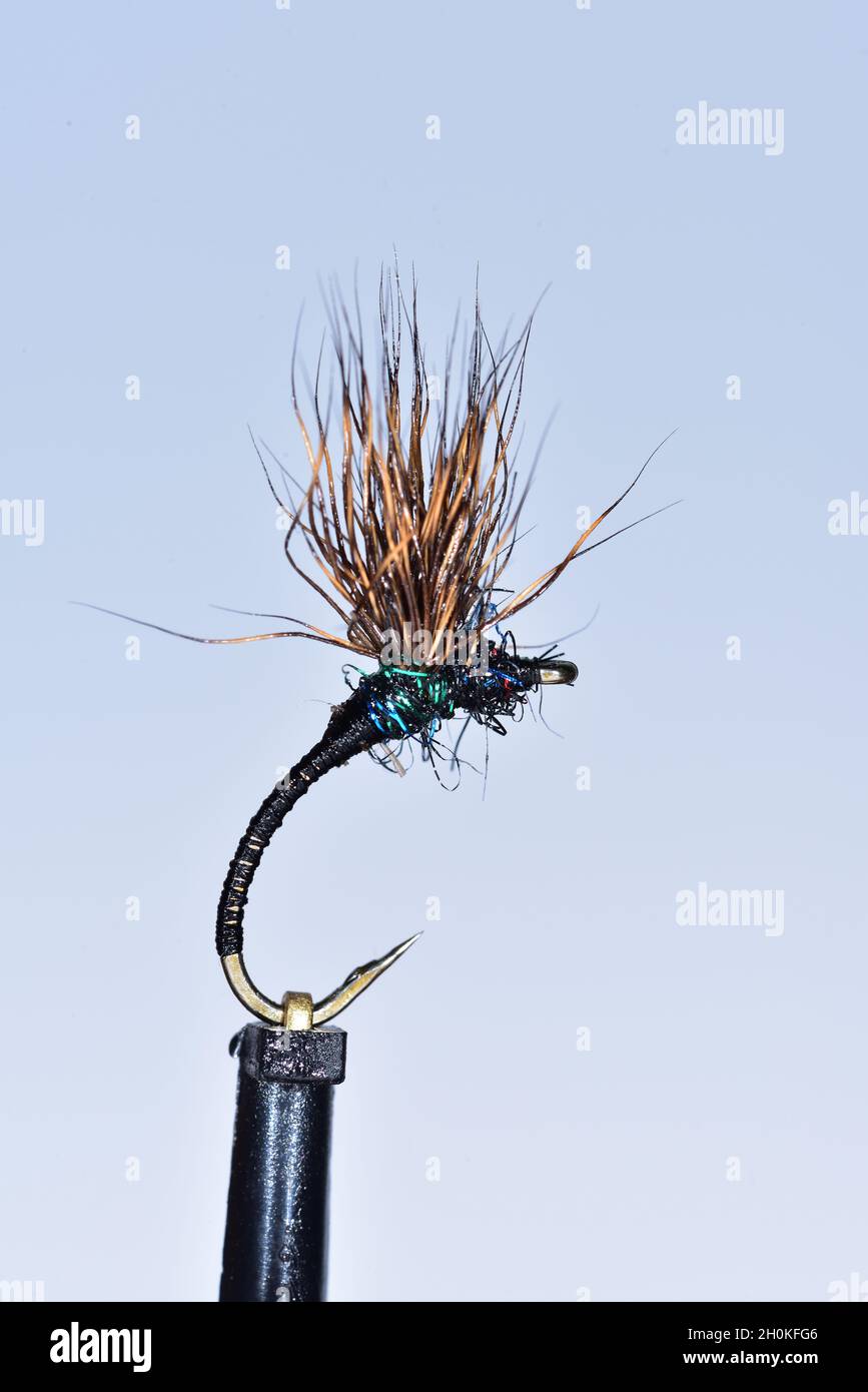 Black emerger trout fly Stock Photo Alamy