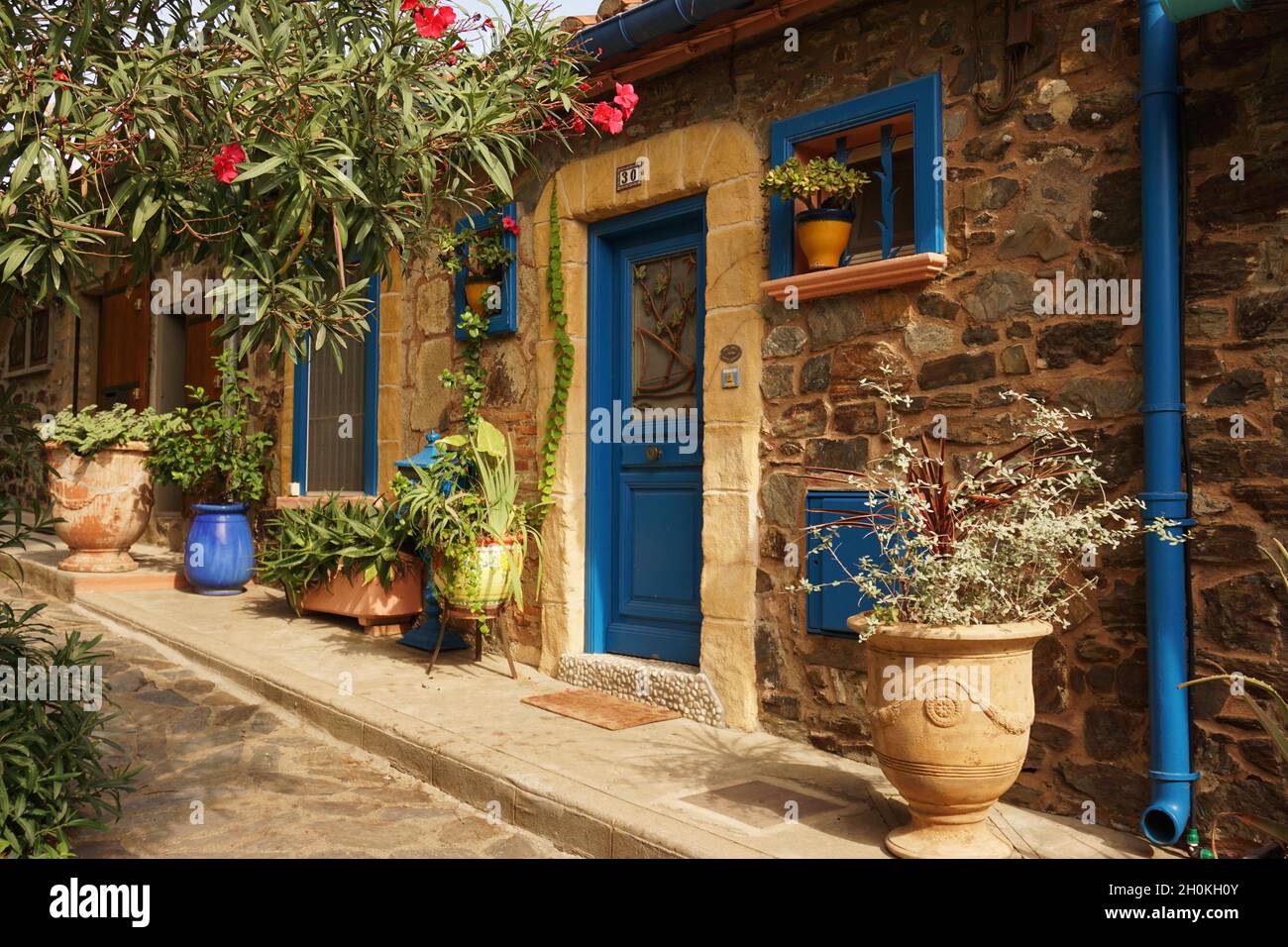 Colourful house exterior in Collioure village,  Mediterranean coast, Pyrénées-Orientales  Department, southern France Stock Photo