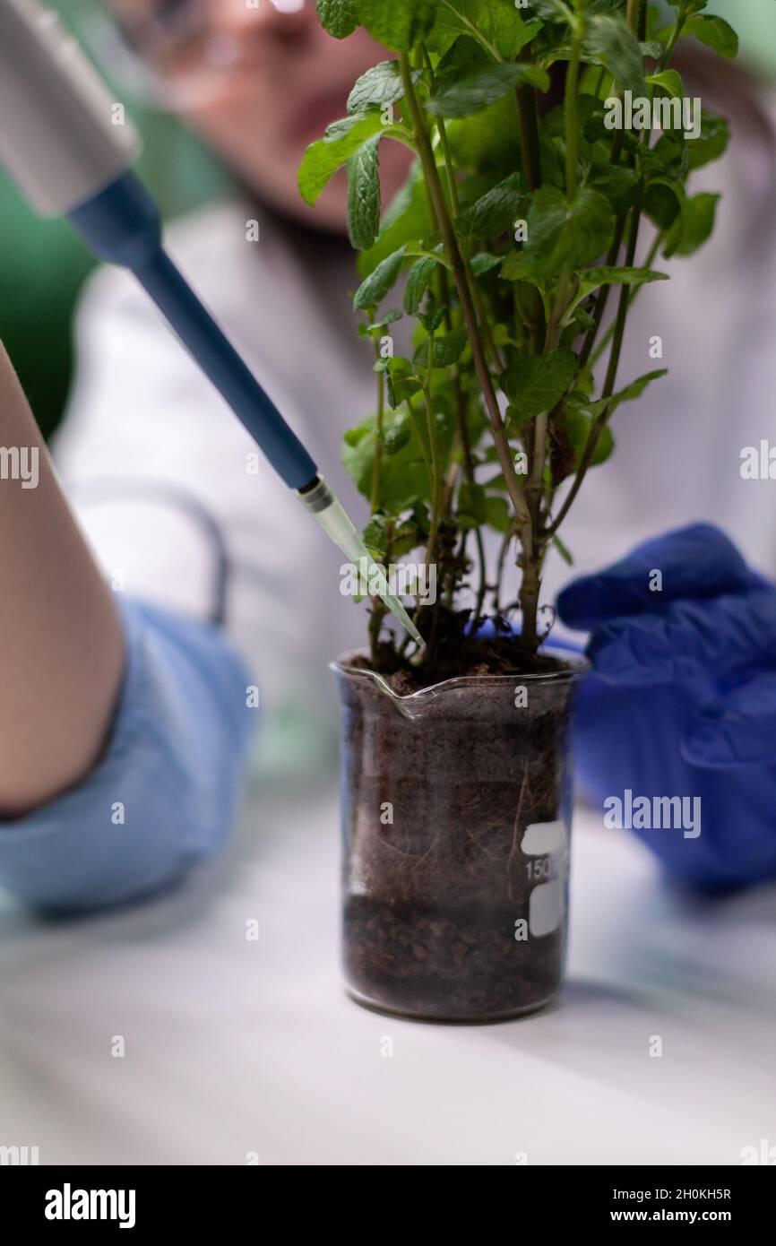 Sapling In Lab Closeup of biologist researcher dropping liquid in organic green ...