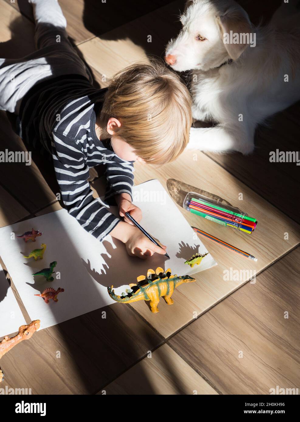 preschool boy at home lies on the floor and plays with shadows from figures of toy dinosaurs. ideas for children's creativity, outlines shadows along Stock Photo