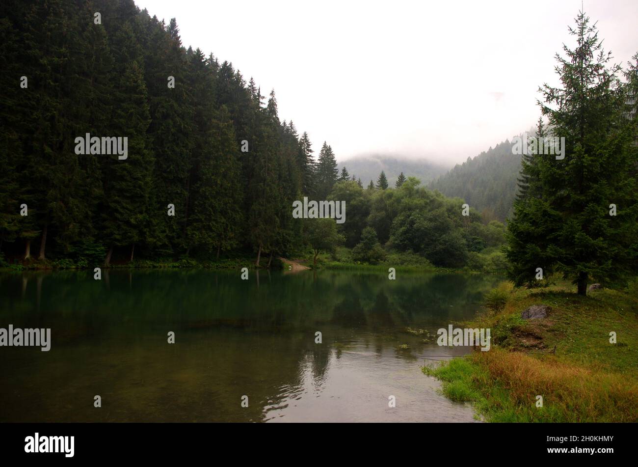 Panorama of natural landscape with lake, forest and mountains in a ...
