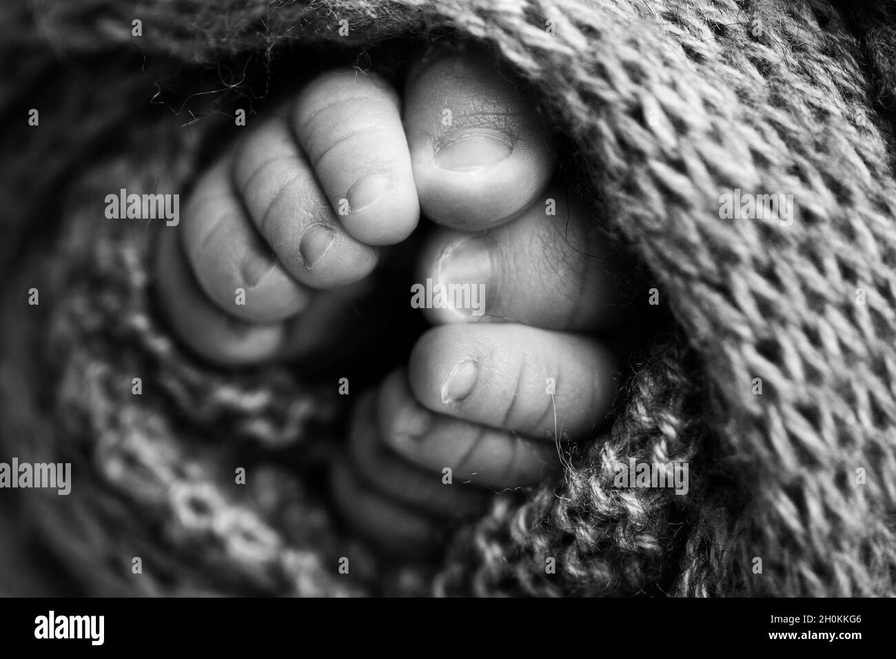 Photo of the legs of a newborn. Baby feet covered with wool isolated
