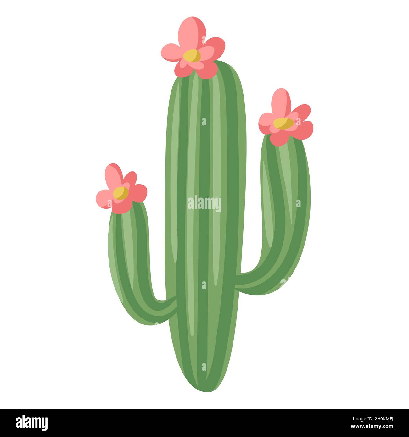 Stylized illustration of cactus. Image for design or decoration Stock  Vector Image & Art - Alamy
