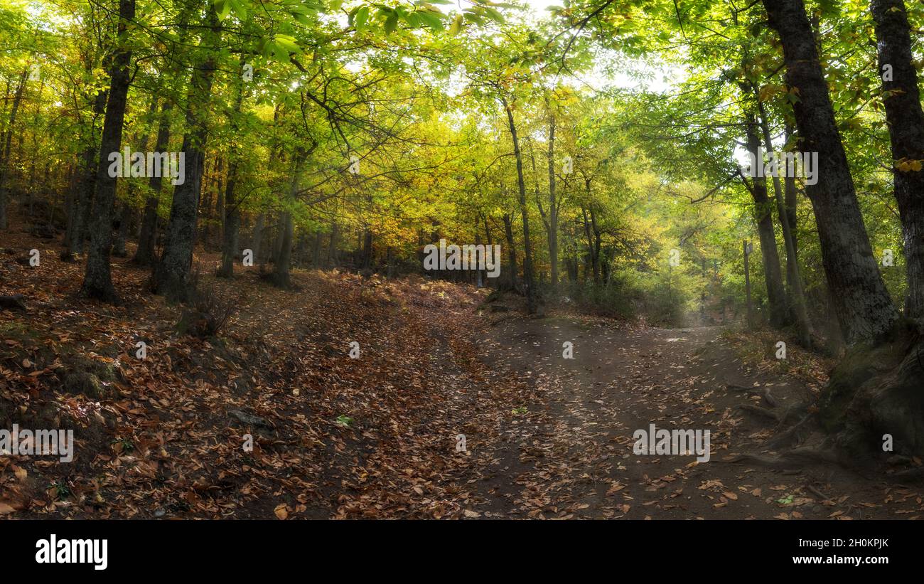 Caminos hi-res stock photography and images - Alamy