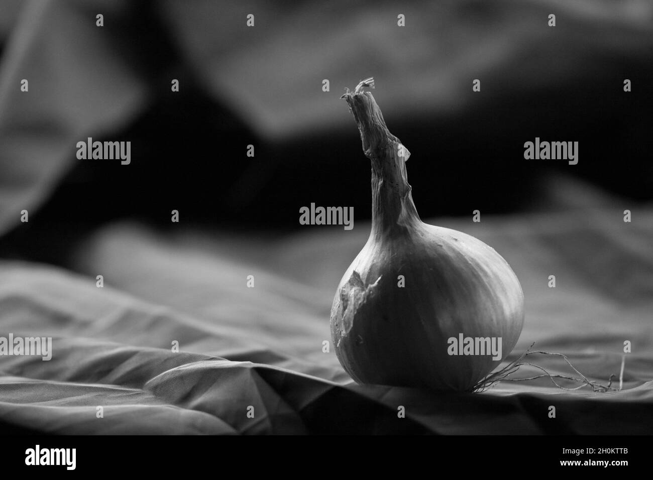 Fresh onion on a worktop Stock Photo