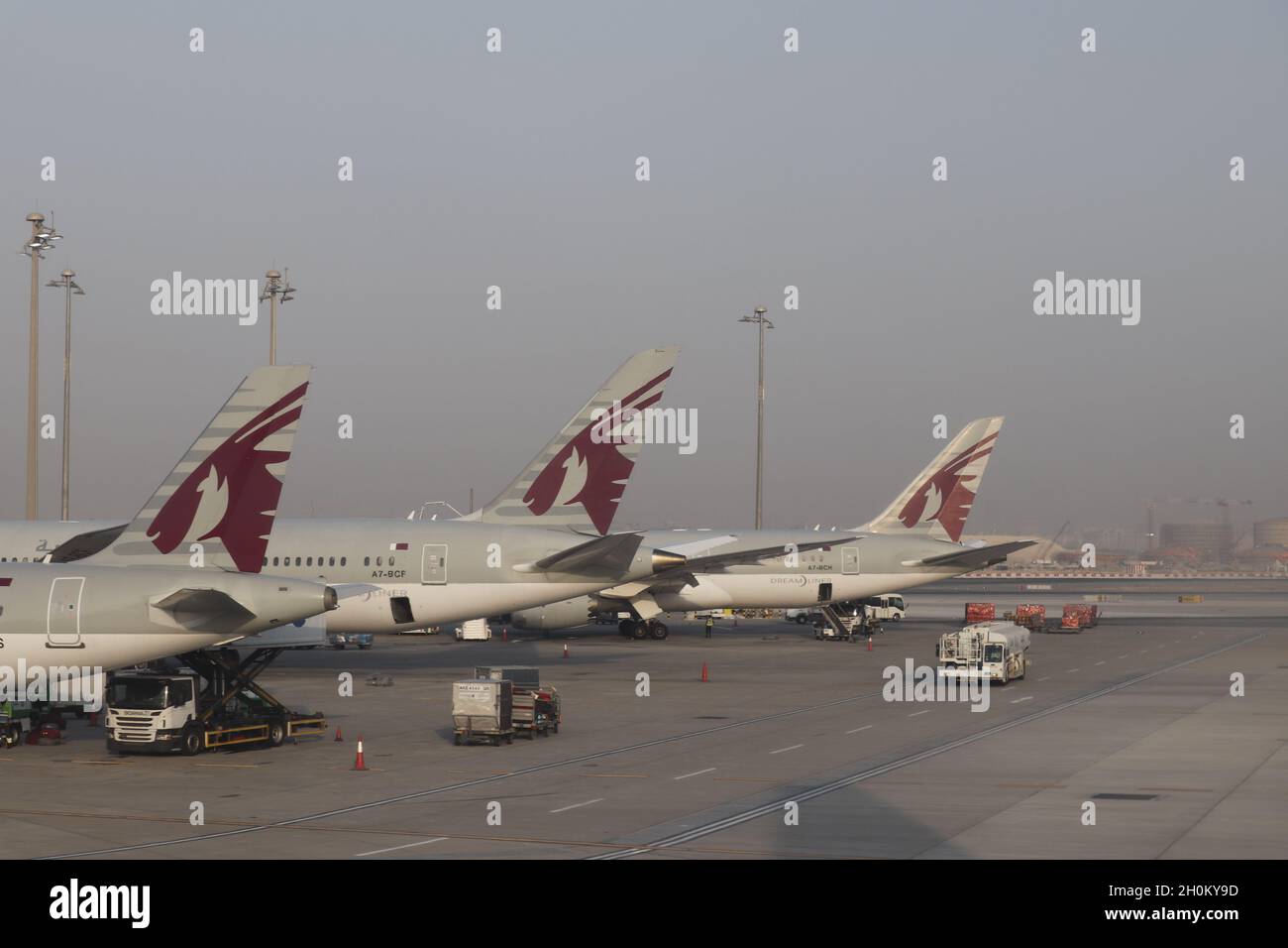 Qatar Tails Stock Photo