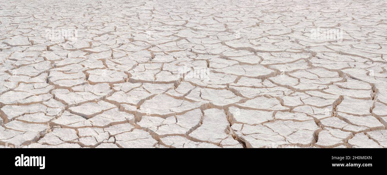 Cracked white clay, closeup surface texture, deep focus Stock Photo