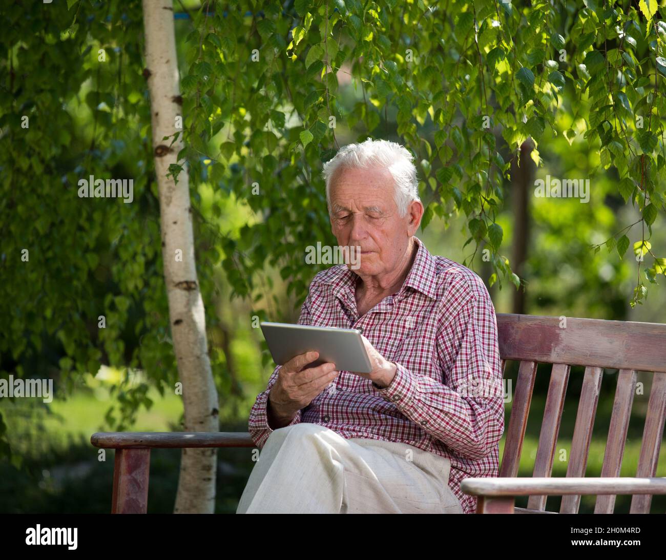 Old man sitting on bench in park and looking at tablet Stock Photo - Alamy
