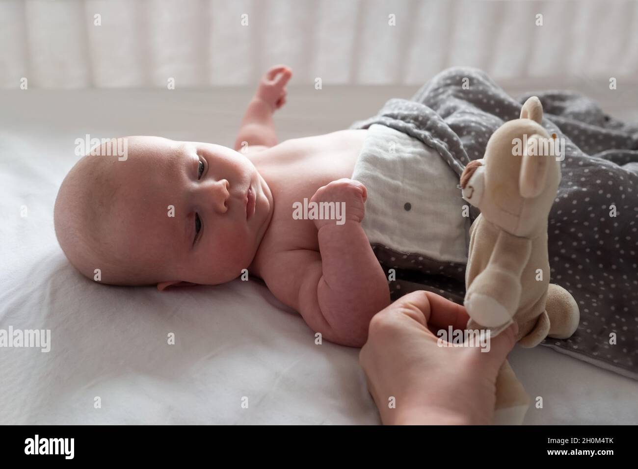 Baby boy resting in bed playing with his teddy bear Stock Photo - Alamy