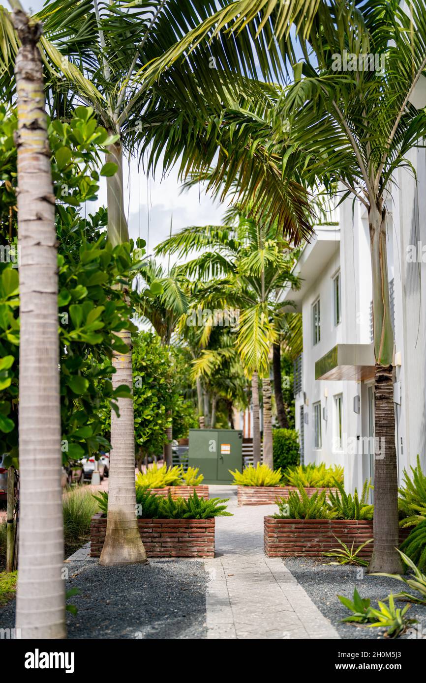 Walkway in a garden with palm trees Miami Beach Stock Photo Alamy