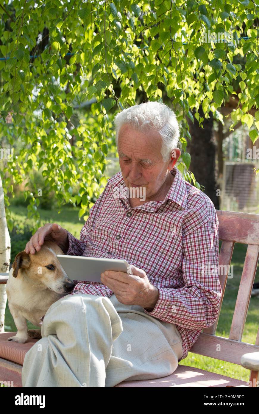 Old man with dog sitting on bench in garden and looking at tablet Stock ...