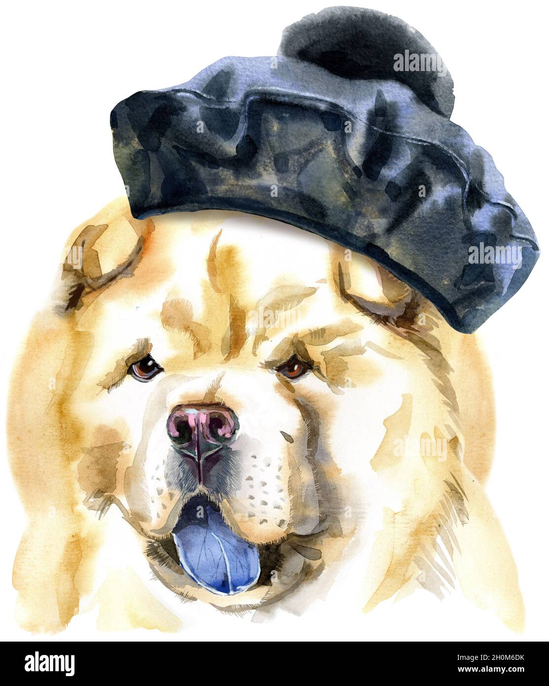 beret dog
