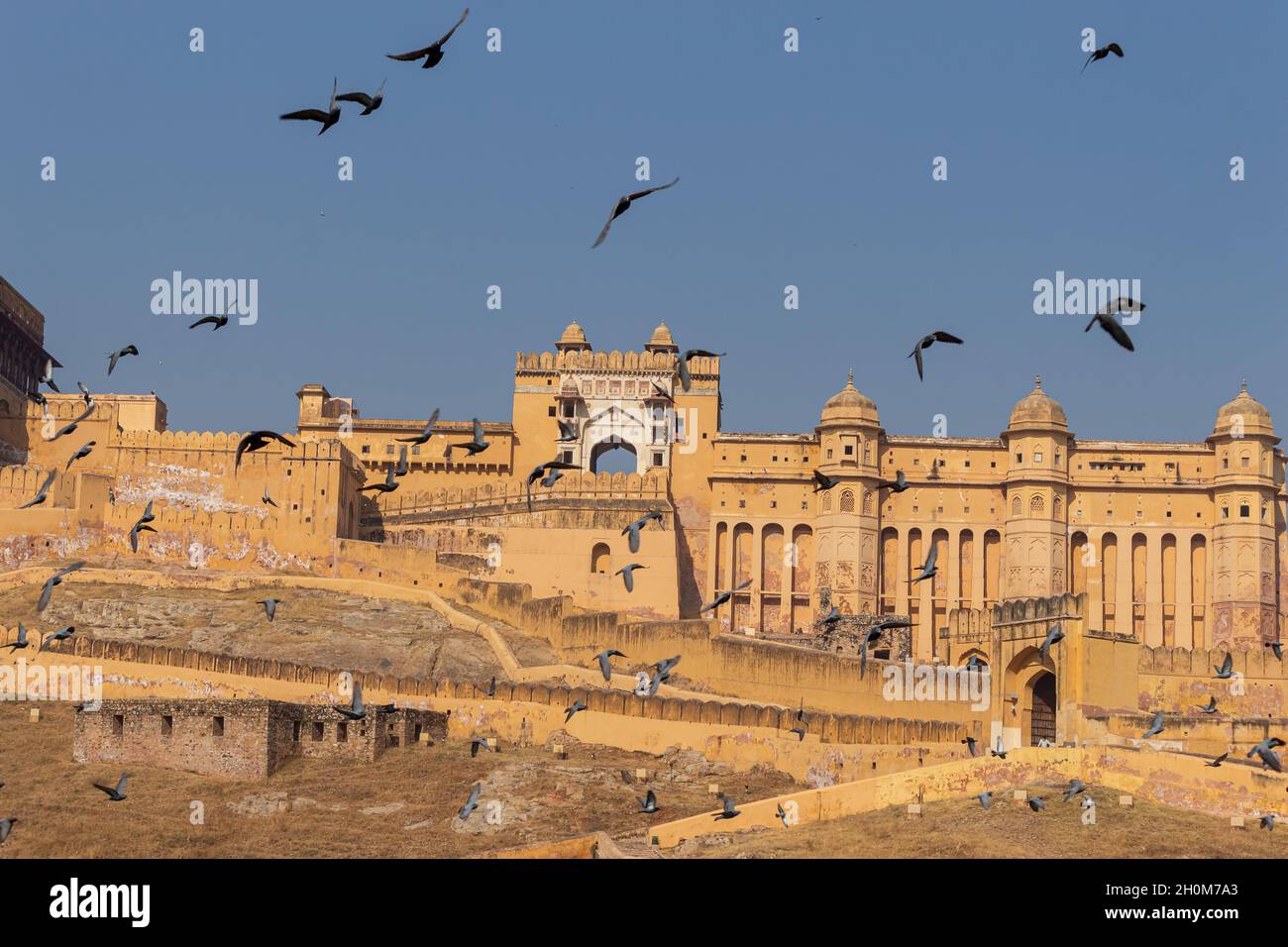 Amer Palace and Fort Amer India Stock Photo - Alamy
