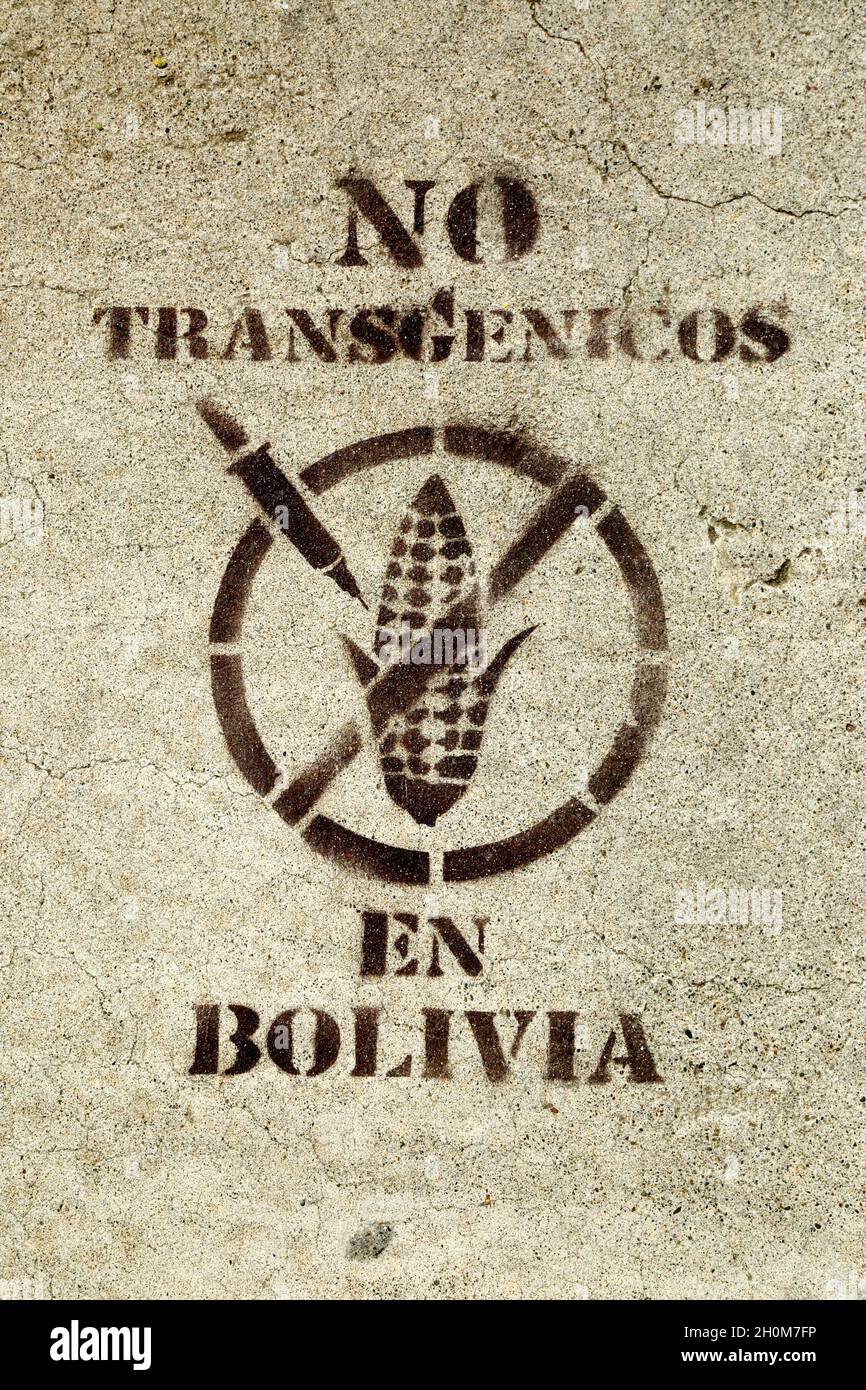 'No Transgenic Crops in Bolivia' symbol sprayed on pavement, La Paz, Bolivia Stock Photo