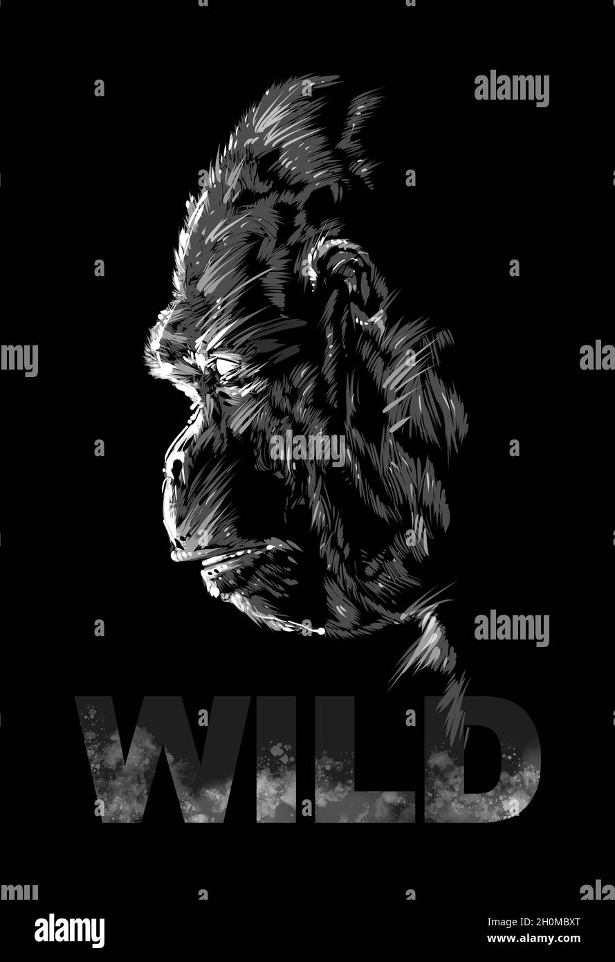 Gorilla drawing, sketch graphics with inscription Wild Stock Photo