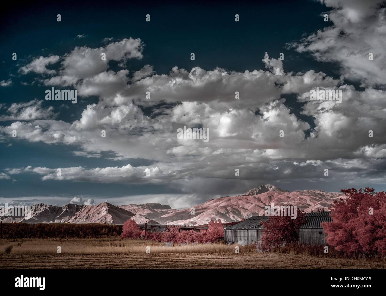 Color Infrared Landscape Infrared multi colored rural landscape Stock Photo - Alamy