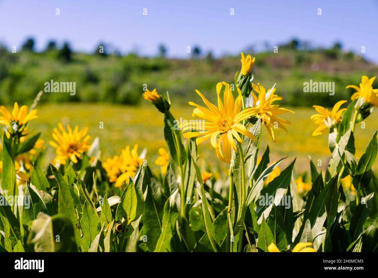 Avon Pass, Utah Stock Photo Alamy