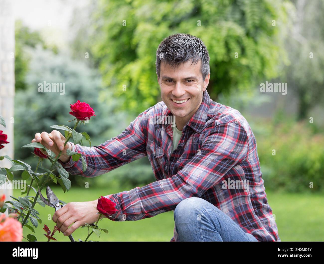 Attractive male gardener hi-res stock photography and images - Alamy
