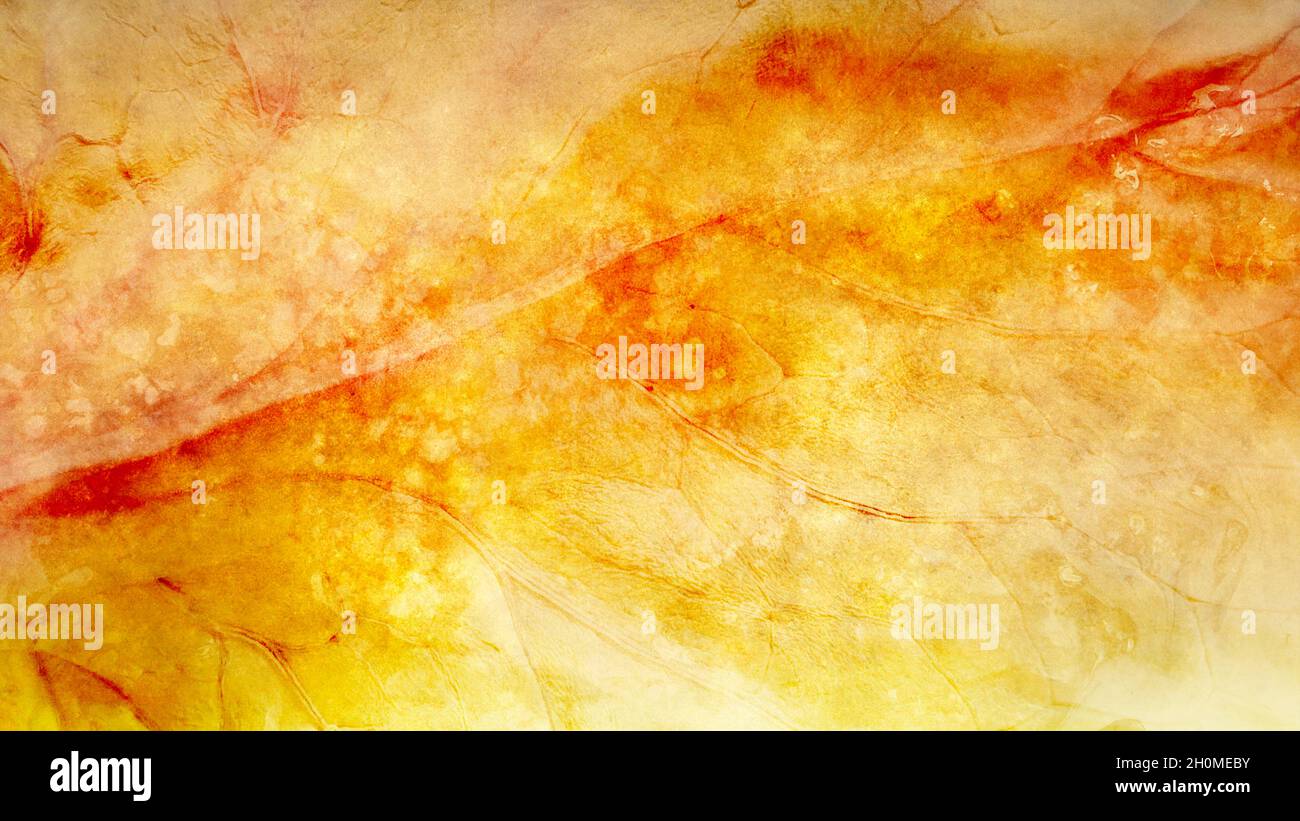 Abstract background in orange and red Stock Photo - Alamy
