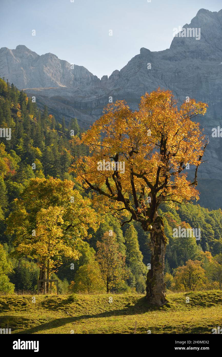 Ahornboden Tirol Austria Stock Photo - Alamy