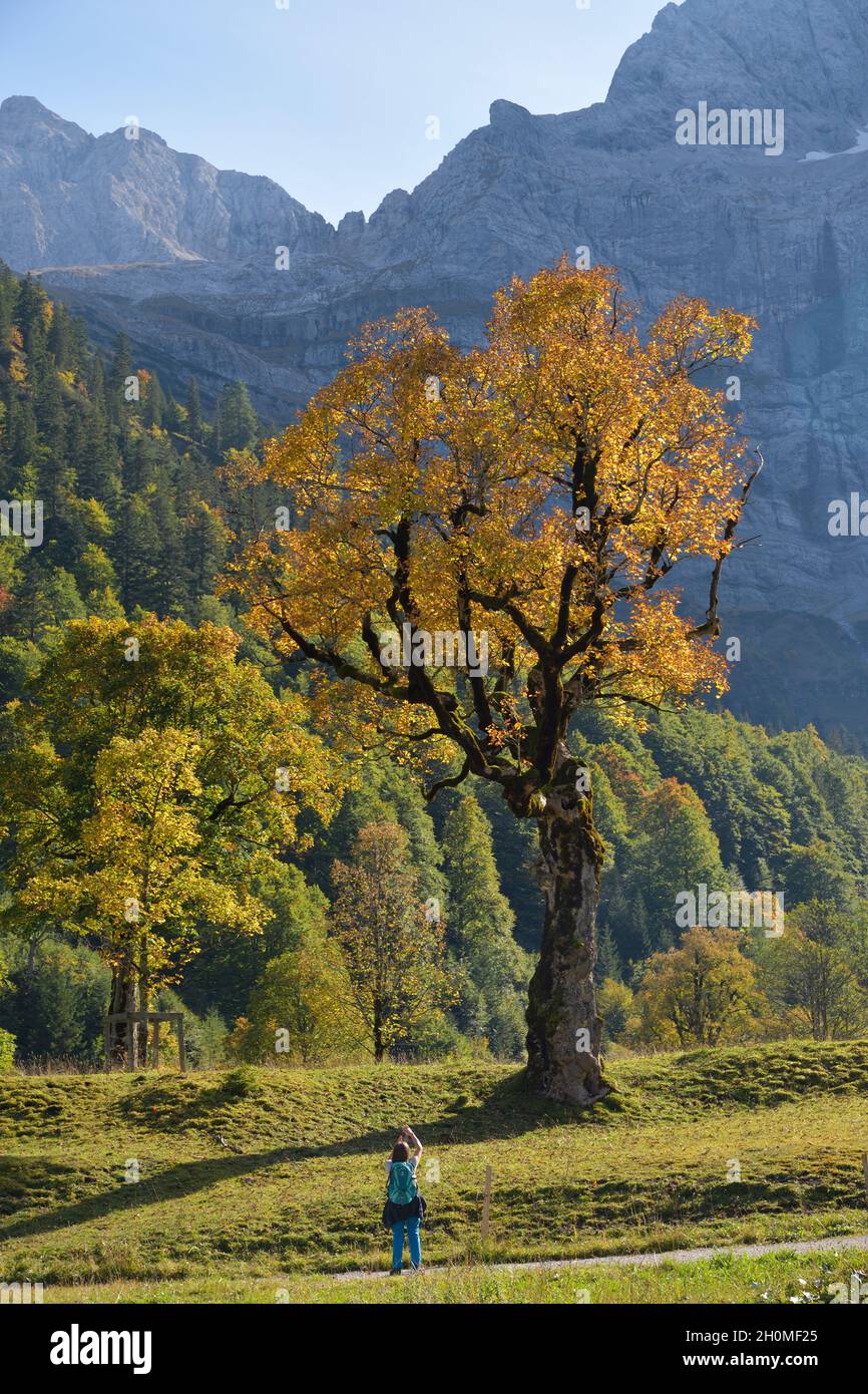 Ahornboden austria autumn hi-res stock photography and images - Alamy
