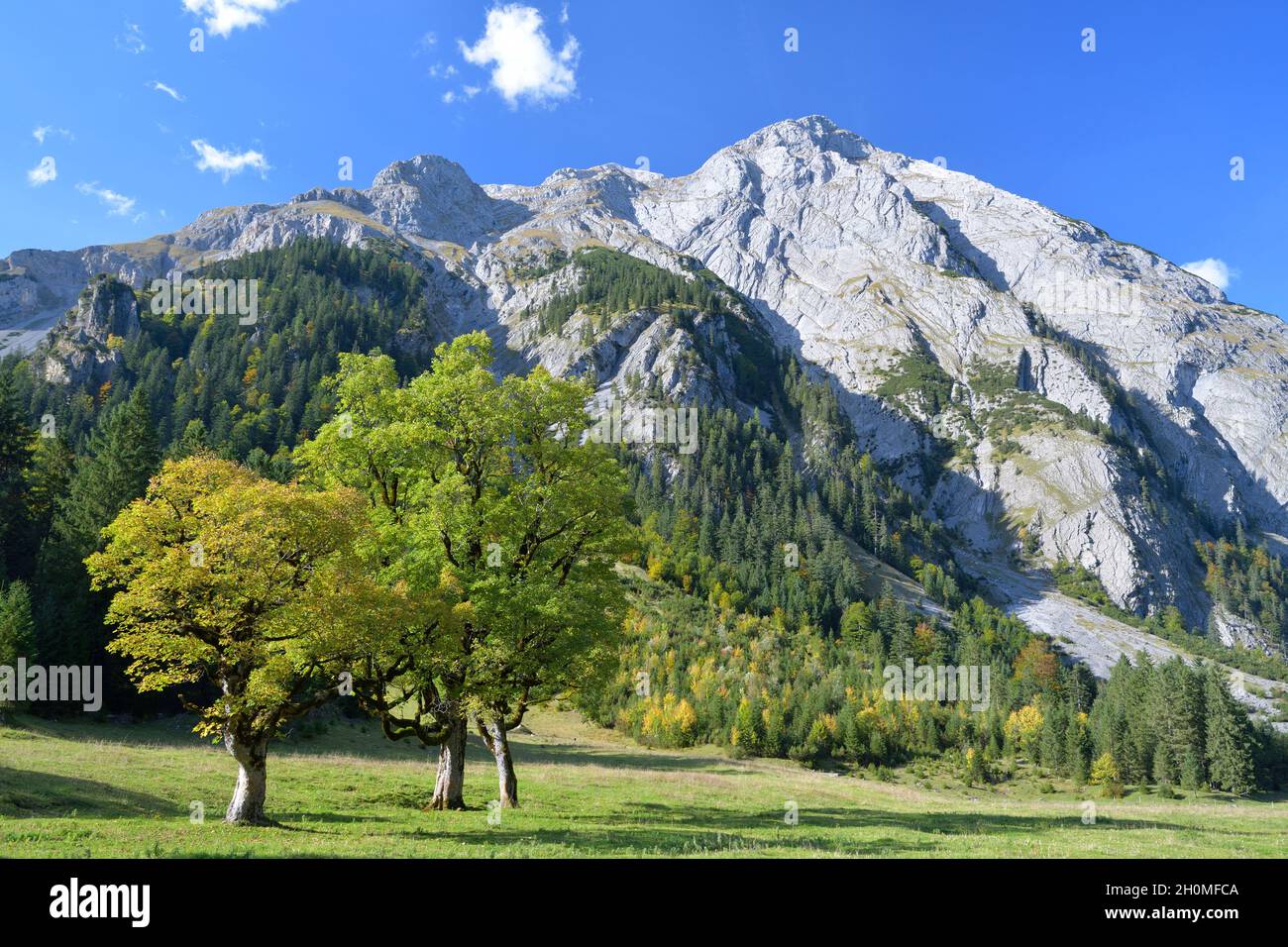 Ahornboden Tirol Austria Stock Photo Alamy Ahornboden Tirol Austria Stock Photo Alamy