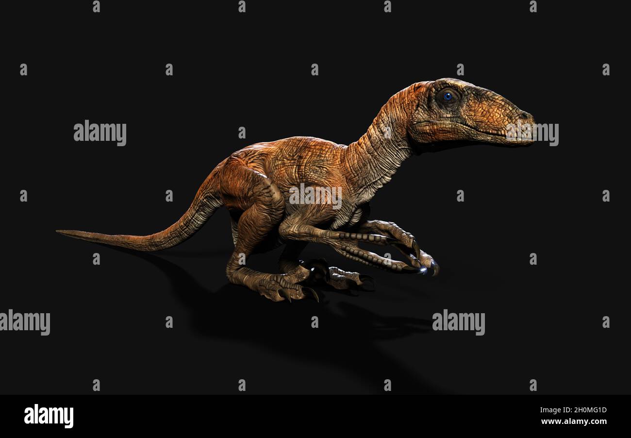 Deinonychus dinosaur, illustration Stock Photo - Alamy