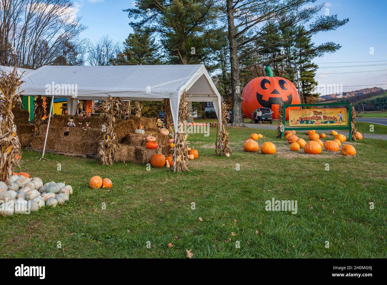 Giant inflatable Halloween pumpkin at The Pumpkin Patch roadside market in North Carolina Stock Photo