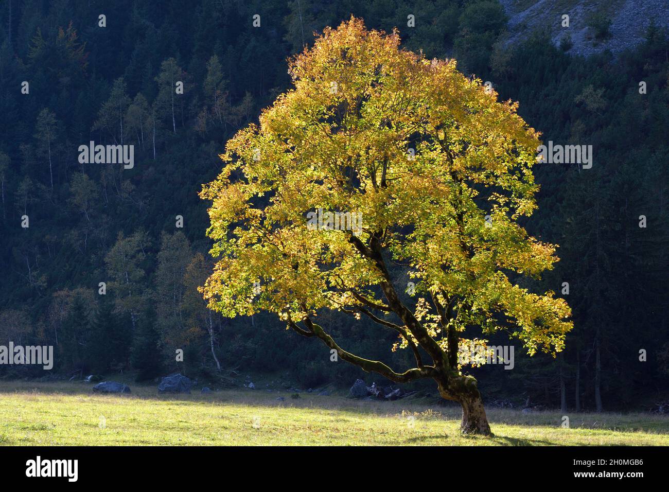 Ahornboden Tirol Austria Stock Photo