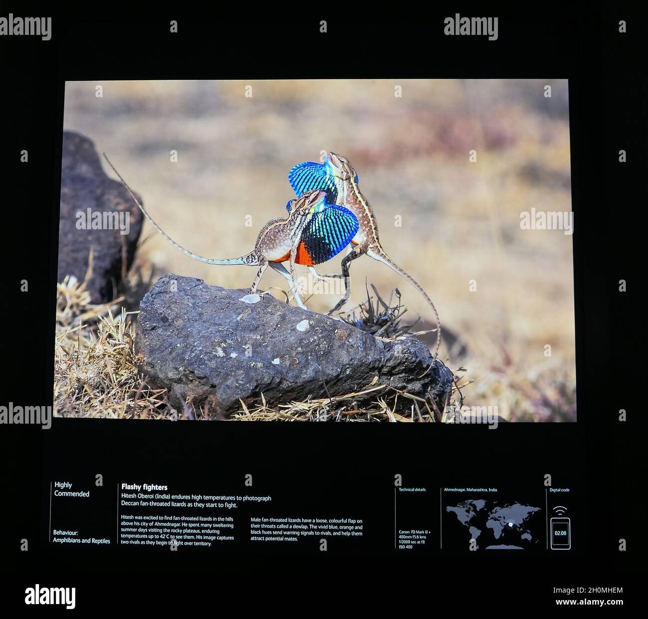 Explore the natural world in all its fragility and diversity at the annual  Wildlife Photographer of the Year exhibition, where 100 powerful photographs  tell the story of a planet under pressure. Gaze