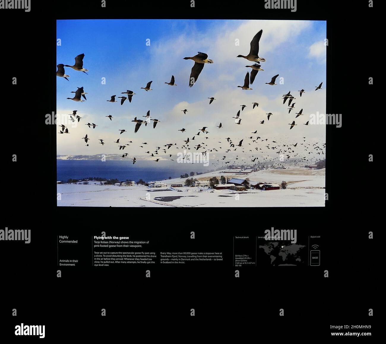 Explore the natural world in all its fragility and diversity at the annual  Wildlife Photographer of the Year exhibition, where 100 powerful photographs  tell the story of a planet under pressure. Gaze