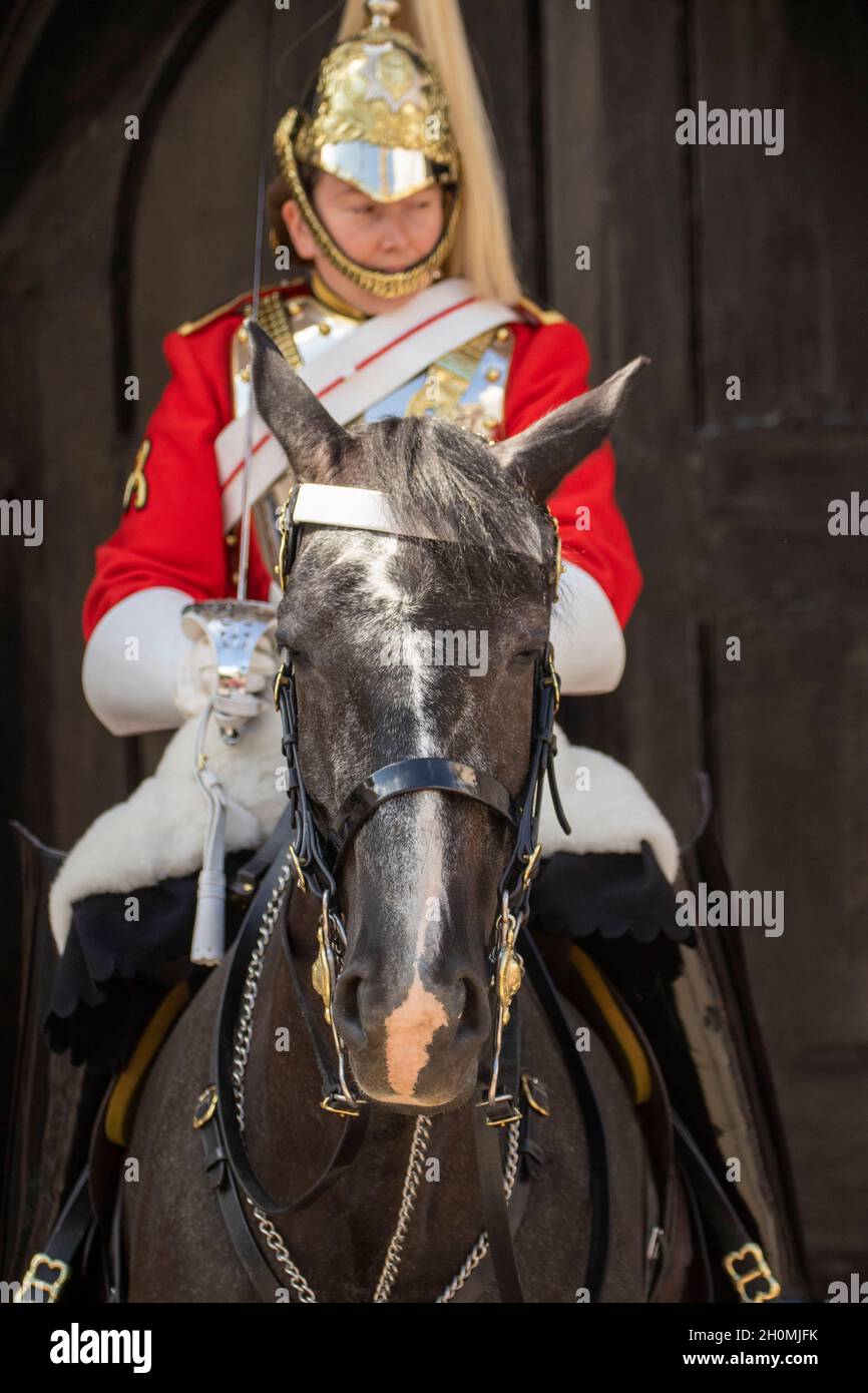 London Tourist Attraction Trooper Of The Life Guards On Duty At Horse 