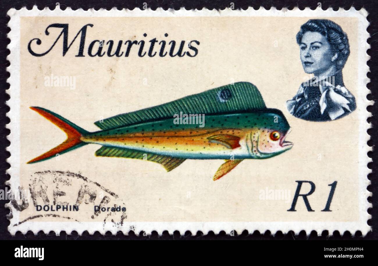 MAURITIUS CIRCA 1969 a stamp printed in Mauritius shows Common