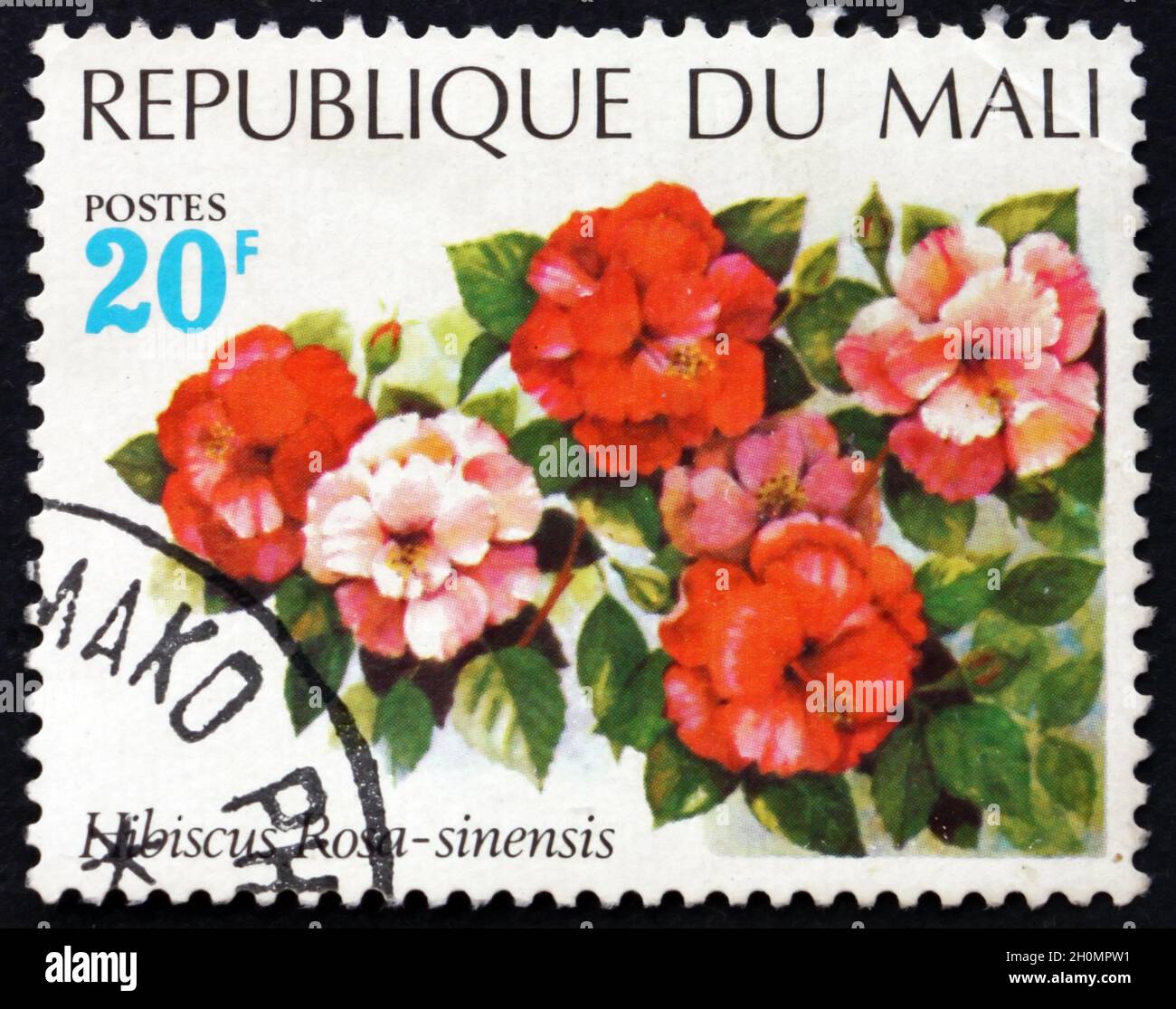 MALI - CIRCA 1971: a stamp printed in Mali shows Chinese hibiscus, Hibiscus rosa-sinensis, a flowering plant, circa 1971 Stock Photo