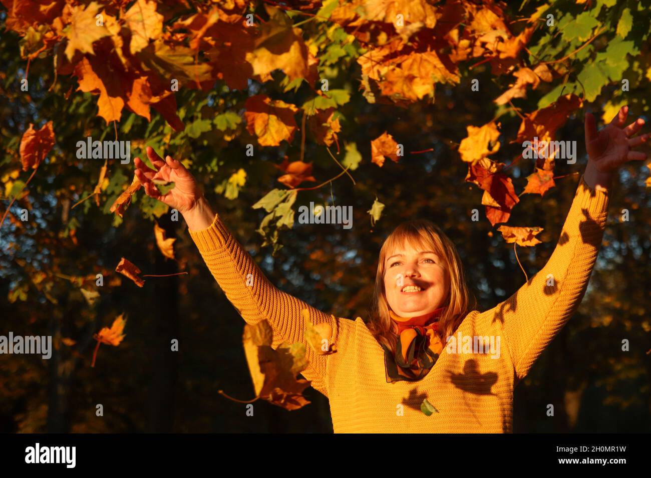 Hello autumn. Happy blonde elegant 40 year old woman in yellow pullover, shawl outside in the autumn park enjoying autumn and throwing leaves. Many fl Stock Photo