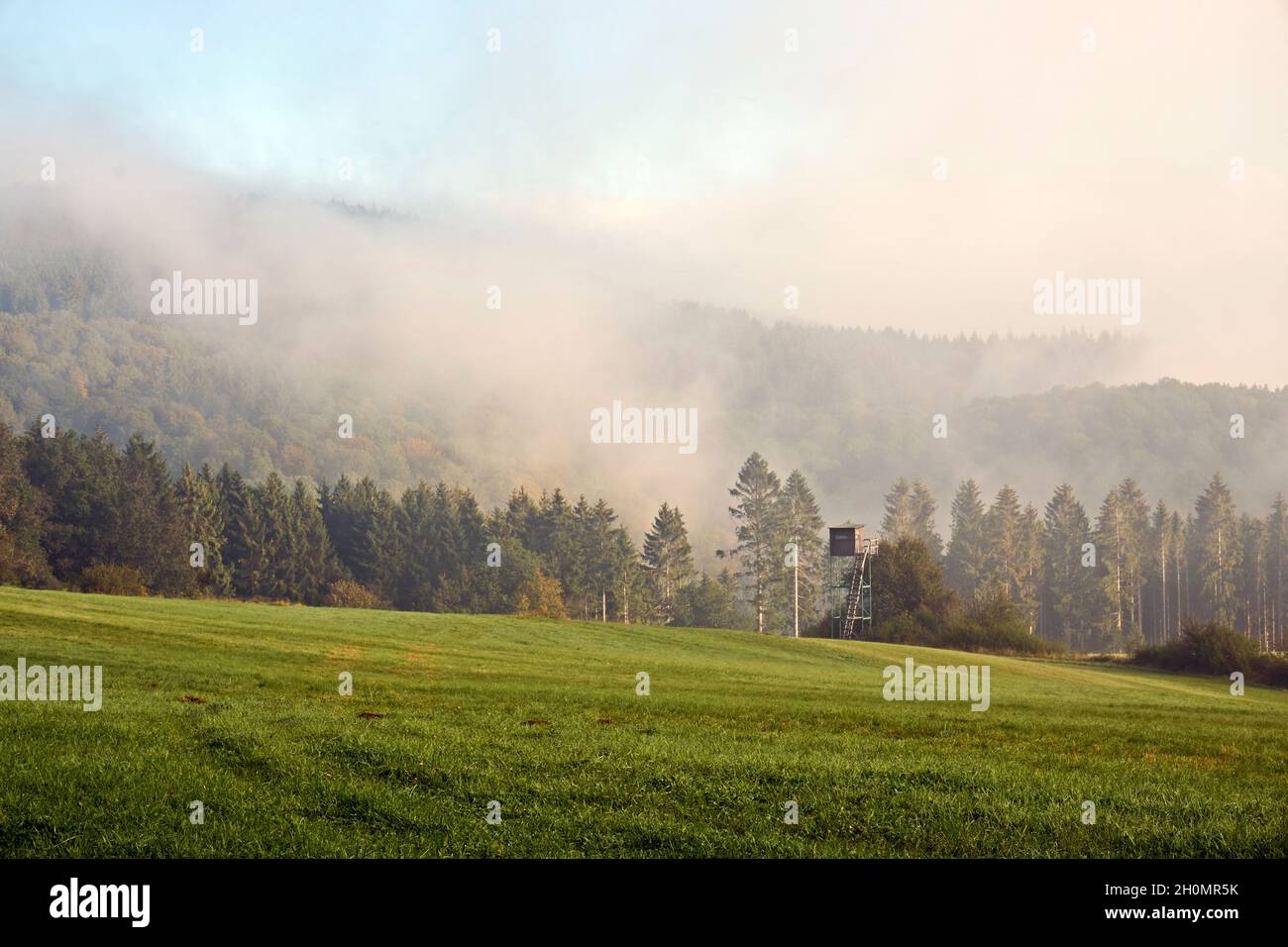 Autumn season, wild forest in the sunrise misty fog and clouds Stock ...