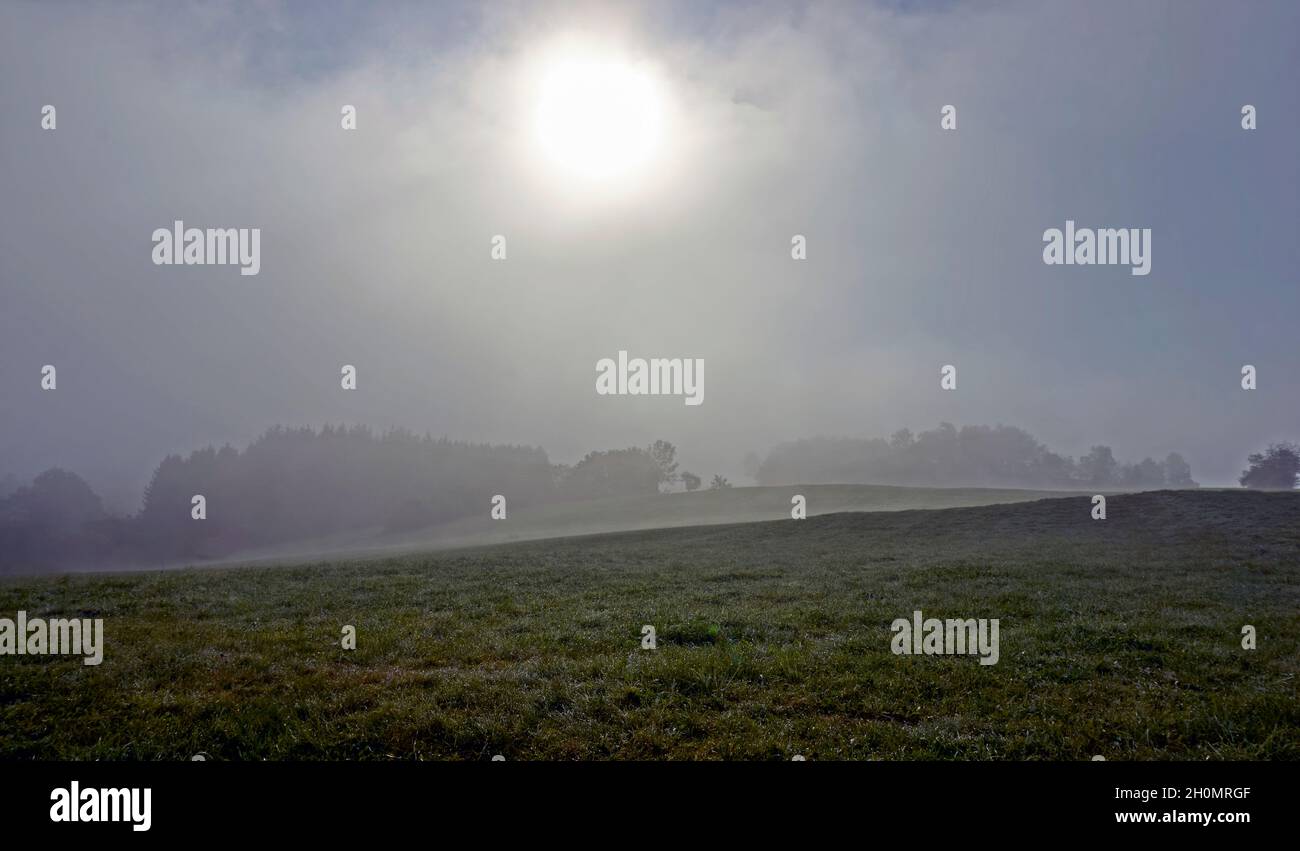 Autumn season, wild forest in the sunrise misty fog and clouds Stock ...