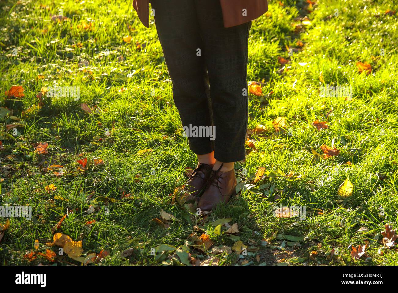 Female legs in capri pants and brogues 