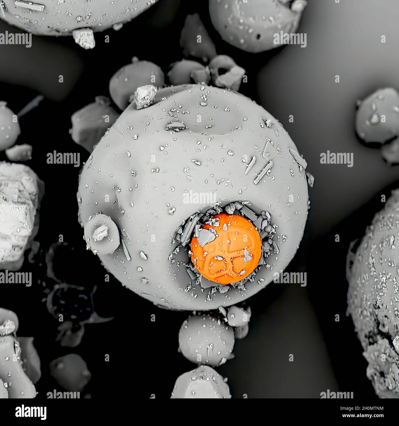 Lutein based food supplement observed in a scanning electron microscope