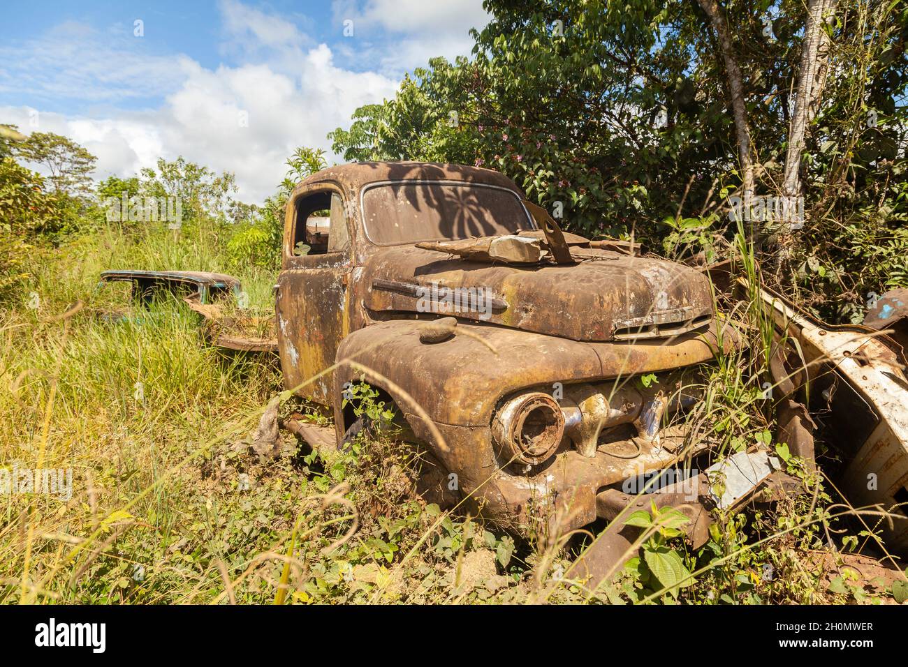 Pilcopata, Peru - April 12, 2014: An old Ford truck, rusted and abandoned, engulfed by weeds, rests in the surroundings of Pilcopata Stock Photo