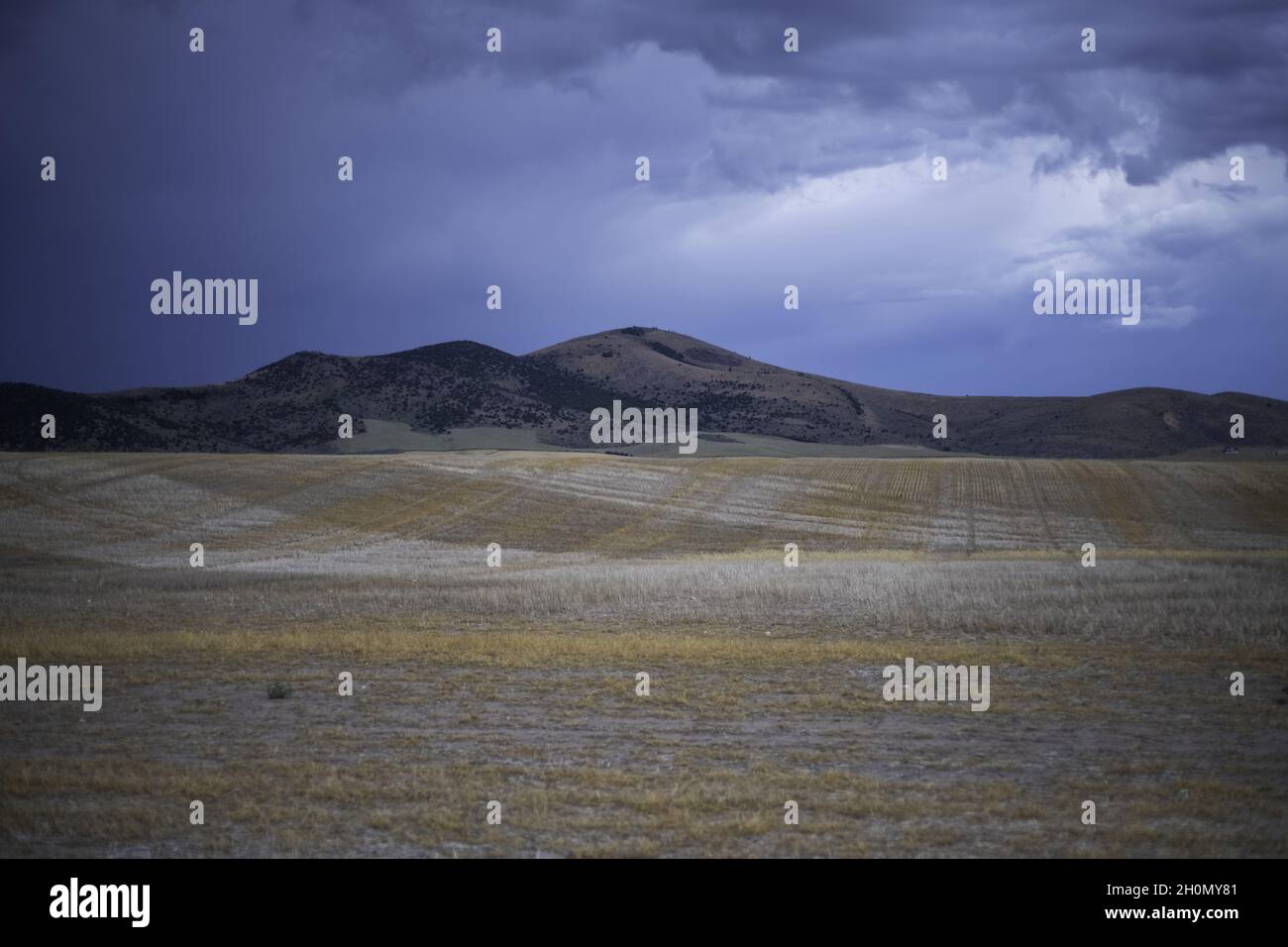 Agricultural field with mountains background under a cloudy sky Stock ...